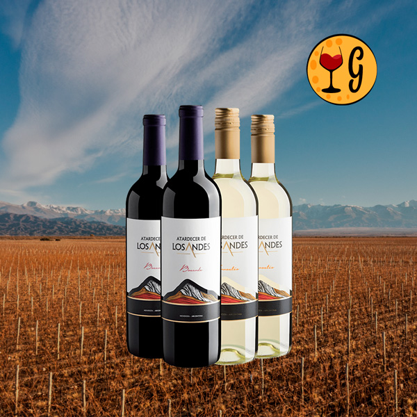 Kit Atardecer de Los Andes – Bonarda e Torrontés 2024 a Preço Especial - Oferta
