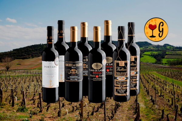 Kit Best Sellers em Dobro – 8 Garrafas de Sucessos do Mundo do Vinho a Preço Imperdível - Thumbnail