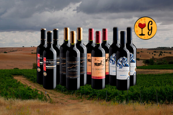 Kit Best Sellers em Dose Tripla – 4 Vinhos Campeões de Venda em Oferta Especial - Thumbnail