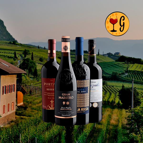 Kit Campeões do Velho Mundo – 4 Vinhos Premium em Destaque - Oferta