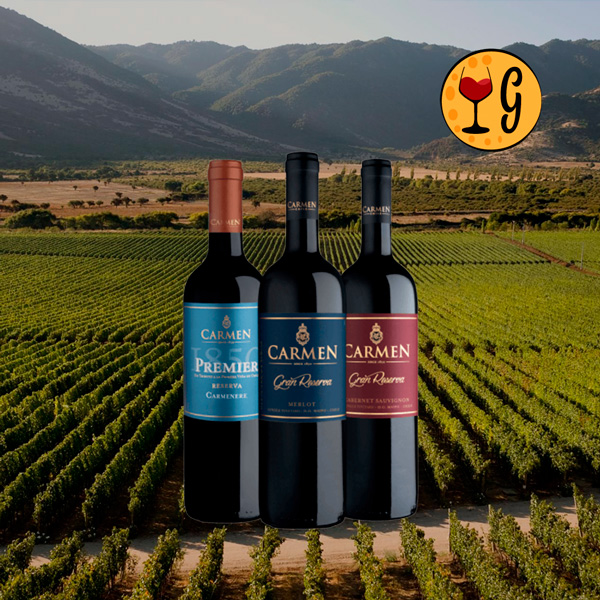 Kit Carmen Premier e Gran Reserva – Presente Sofisticado Uma Experiência Premium em 3 Vinhos Chilenos - Oferta