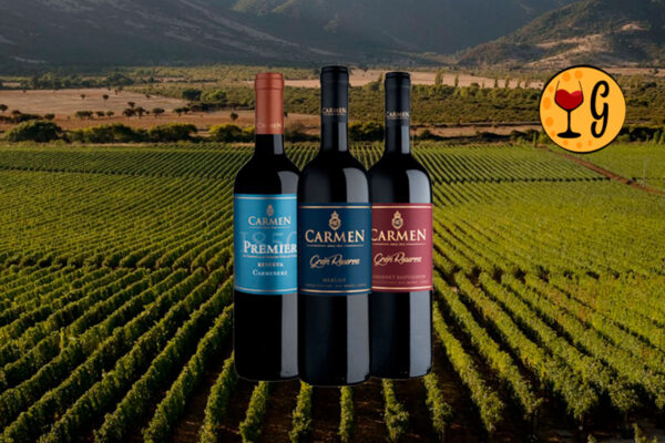 Kit Carmen Premier e Gran Reserva – Presente Sofisticado Uma Experiência Premium em 3 Vinhos Chilenos - Thumbnail
