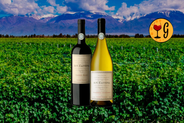 Kit DV Catena Cabernet-Malbec e Chardonnay – A Dupla de Vinhos Argentinos Perfeita para seu Jantar Elegante - Thumbnail