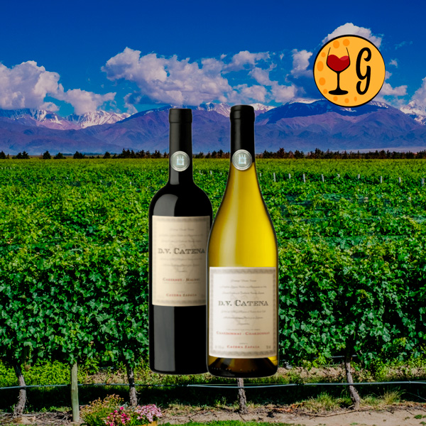 Kit DV Catena Cabernet-Malbec e Chardonnay – A Dupla de Vinhos Argentinos Perfeita para seu Jantar Elegante - Oferta