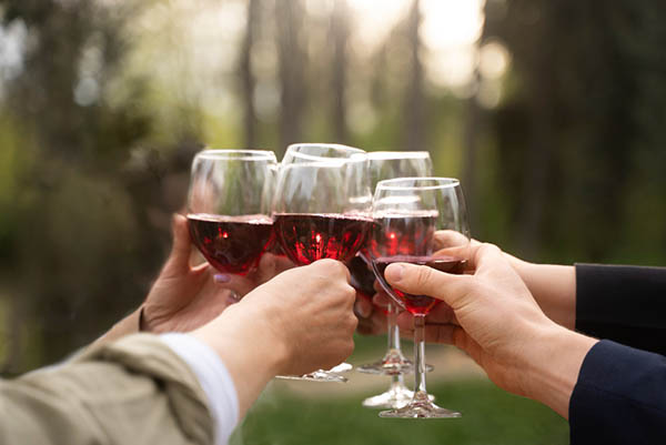 Kit Entre Uvas e Estrelas – Um Rosé Encantado e um Malbec de Outro Planeta em uma Só Experiência - Brindando