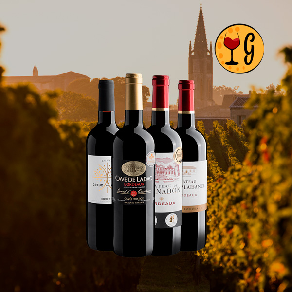 Kit Expressões da França – Quatro Vinhos Tintos Franceses de Destaque a Preço Especial - Oferta
