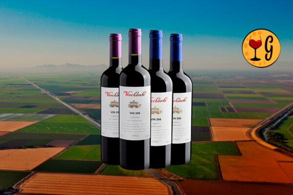 Kit Família Vinchante – Vinhos Chilenos Premium ao Seu Alcance - Thumbnail