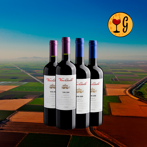 Kit Família Vinchante – Vinhos Chilenos Premium ao Seu Alcance - Oferta