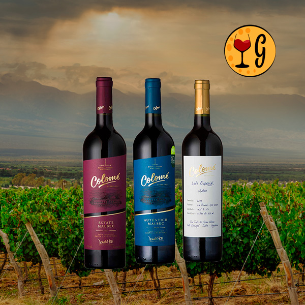 Kit Malbecs da Colomé – Uma Viagem pelos Vinhos de Altitude da Argentina - Oferta