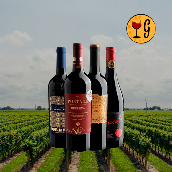 Kit Quarteto Dourado – 4 Vinhos Consagrados de Portugal e Itália - Oferta