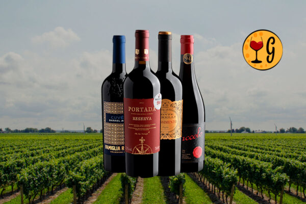 Kit Quarteto Dourado – 4 Vinhos Consagrados de Portugal e Itália - Thumbnail
