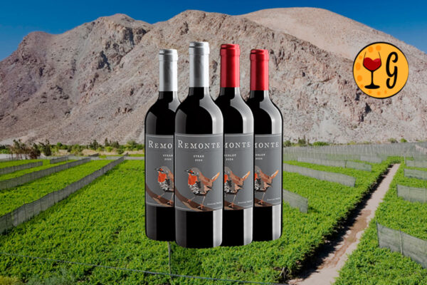 Kit Remonte Winemaker Selection Syrah e Merlot – Sustentabilidade e Sabor em Dose Dupla - Thumbnail
