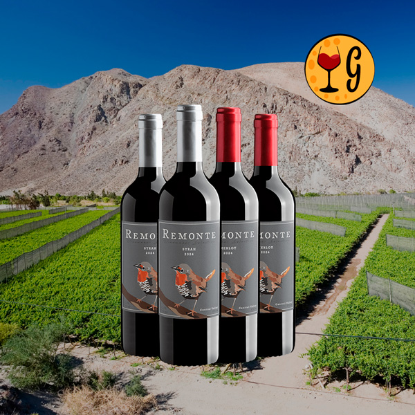 Kit Remonte Winemaker Selection Syrah e Merlot – Sustentabilidade e Sabor em Dose Dupla - Oferta