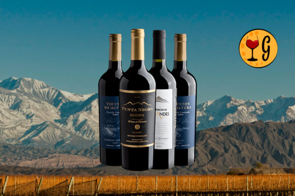 Kit Reservas do Novo Mundo – Cabernets Sauvignon e Malbecs Amadurecidos em Carvalho a Preço Especial - Thumbnail