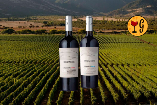 Kit TerraNoble Carménère CA1 Andes e CA2 Costa – Edição Premium de Terroir Chileno - Thumbnail