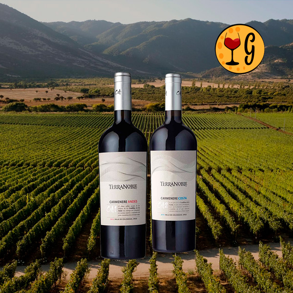 Kit TerraNoble Carménère CA1 Andes e CA2 Costa – Edição Premium de Terroir Chileno - Oferta