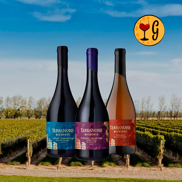 Kit Terranoble Disidente – Três Vinhos Chilenos Exclusivos para Paladares Exigentes - Oferta