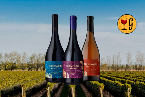 Kit Terranoble Disidente – Três Vinhos Chilenos Exclusivos para Paladares Exigentes - Thumbnail