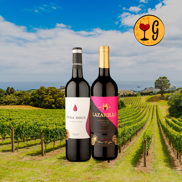 Kit Tintos Ibéricos Sem Fronteiras – La Mancha & Alentejo em Uma Só Experiência - Oferta