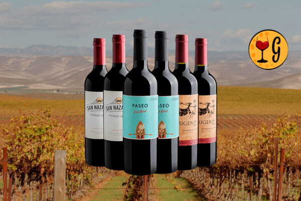 Kit Vinhos Chilenos com Excepcional Custo-Benefício – 6 Tintos por R$25,90 cada Descubra Sabores do Chile a Preço Imbatível - Thumbnail