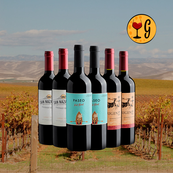 Kit Vinhos Chilenos com Excepcional Custo-Benefício – 6 Tintos por R$25,90 cada Descubra Sabores do Chile a Preço Imbatível - Oferta