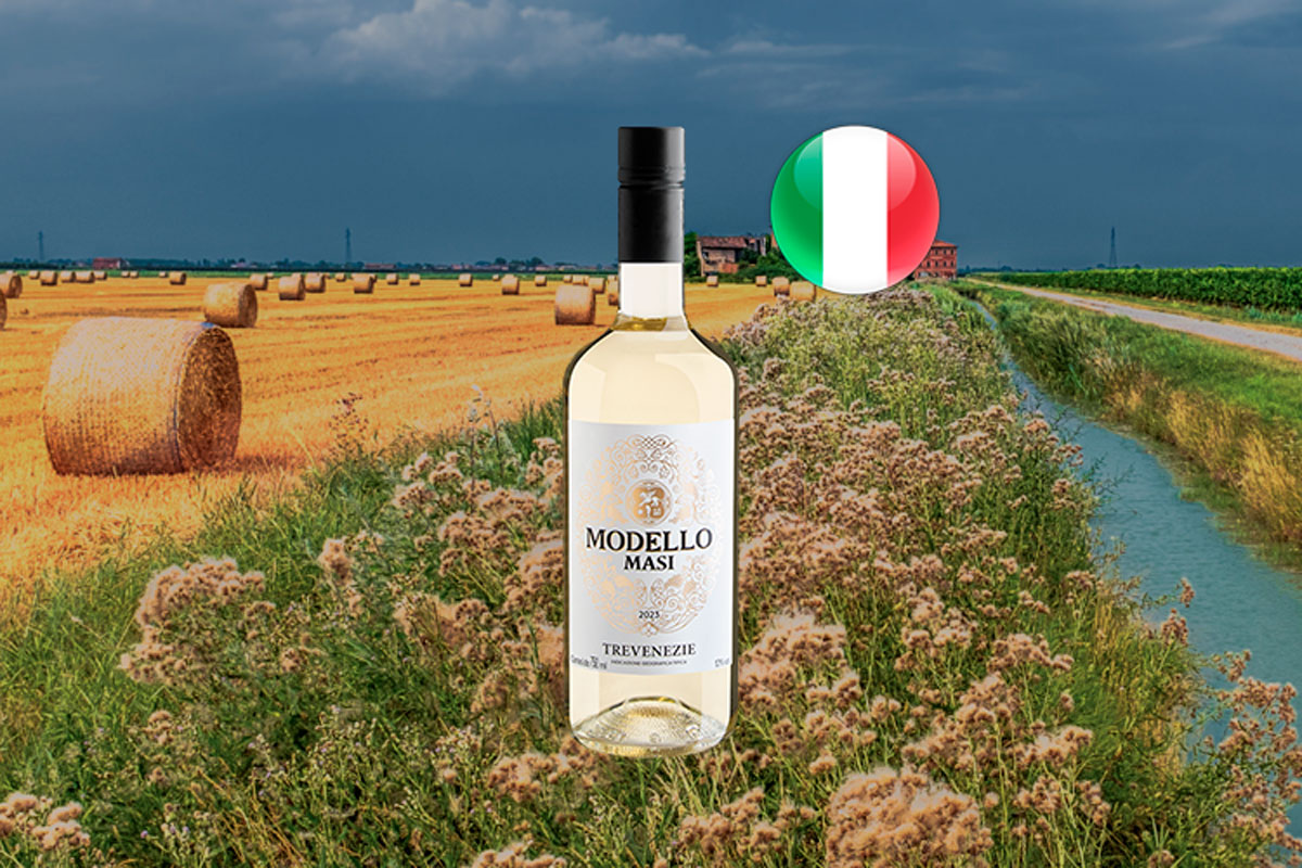 Masi Modello Bianco Trevenezie IGT 2023 - Vinho branco italiano ...