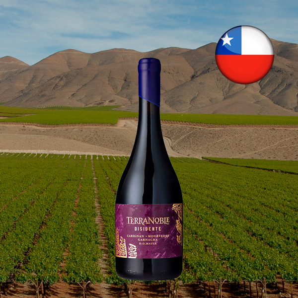 Terranoble Carignan Mourvèdre Garnacha Disidente 2019 - Oferta