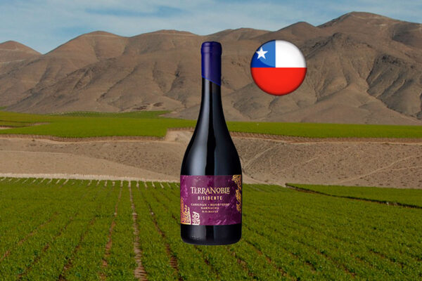 Terranoble Carignan Mourvèdre Garnacha Disidente 2019 - Thumbnail