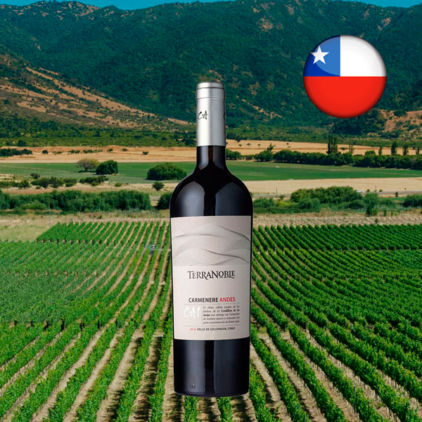 Terranoble Carmenere CA1 Andes 2019 - Oferta