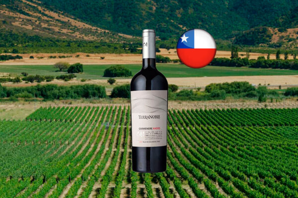 Terranoble Carmenere CA1 Andes 2019 - Thumbnail