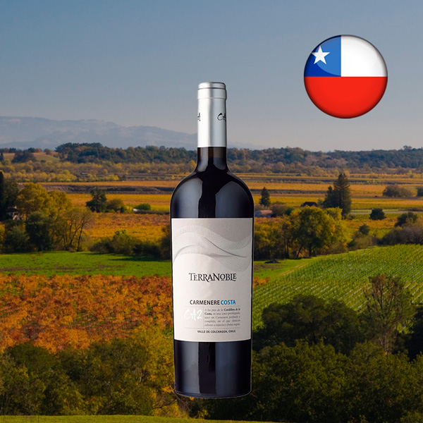 Terranoble Carmenere CA2 Costa 2021 - Oferta