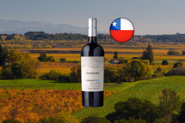 Terranoble Carmenere CA2 Costa 2021 - Thumbnail