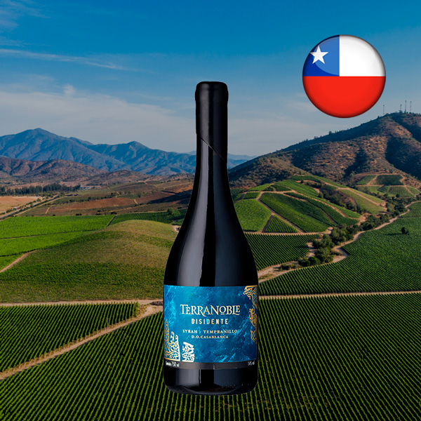 Terranoble Syrah Tempranillo Disidente 2017 - Oferta
