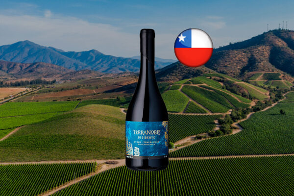 Terranoble Syrah Tempranillo Disidente 2017 - Thumbnail