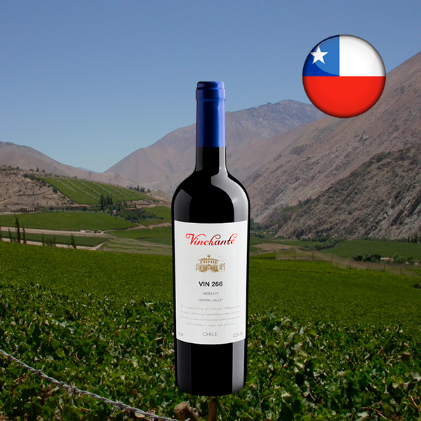 Vinchante Vin 266 Merlot Central Valley 2023 - Oferta