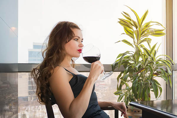 Alamos Selección Pinot Noir 2022 - Degustando