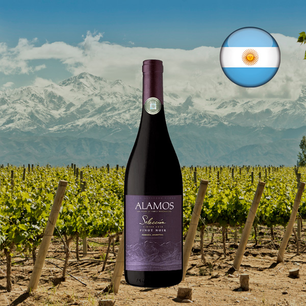 Alamos Selección Pinot Noir 2022 - Oferta