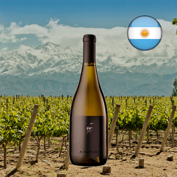 Alma Negra Blanco 2022 - Oferta