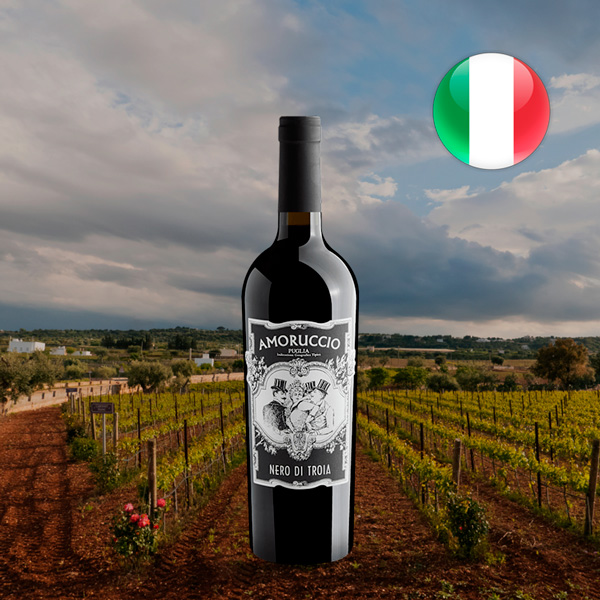 Amoruccio Nero di Troia Puglia IGT 2023 - Oferta