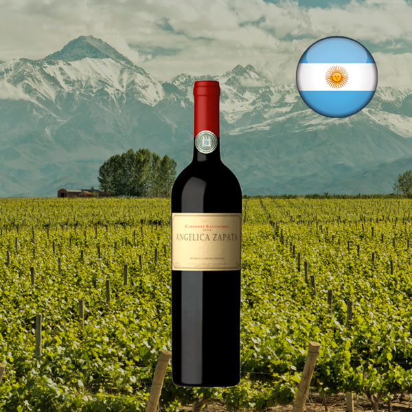 Angelica Zapata Cabernet Sauvignon 2020 - Oferta