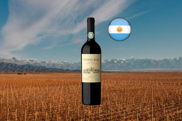 Catena Alta Cabernet Sauvignon 2021 - Thumbnail