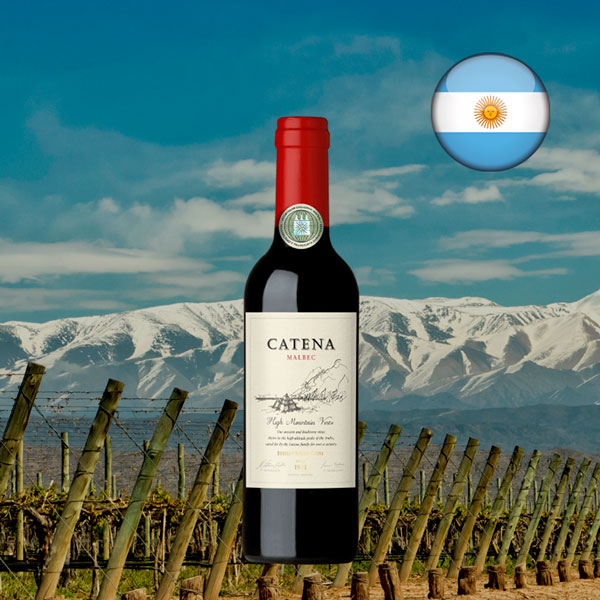 Catena Malbec 2022 375mL - Oferta
