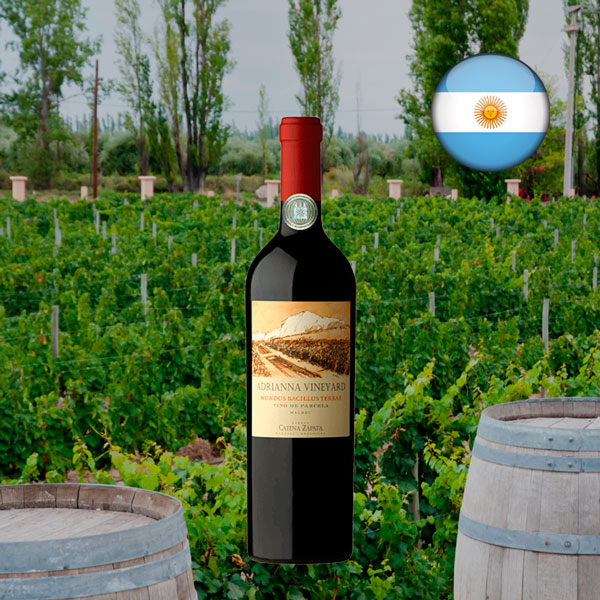 Catena Zapata Adrianna Mundus Bacillus Terrae 2020 - Oferta