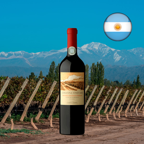 Catena Zapata Adrianna Mundus Bacillus Terrae 2021 - Oferta