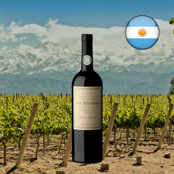 DV Catena Cabernet-Cabernet 2021 - Oferta
