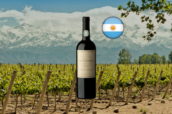 DV Catena Cabernet-Cabernet 2021 - Thumbnail