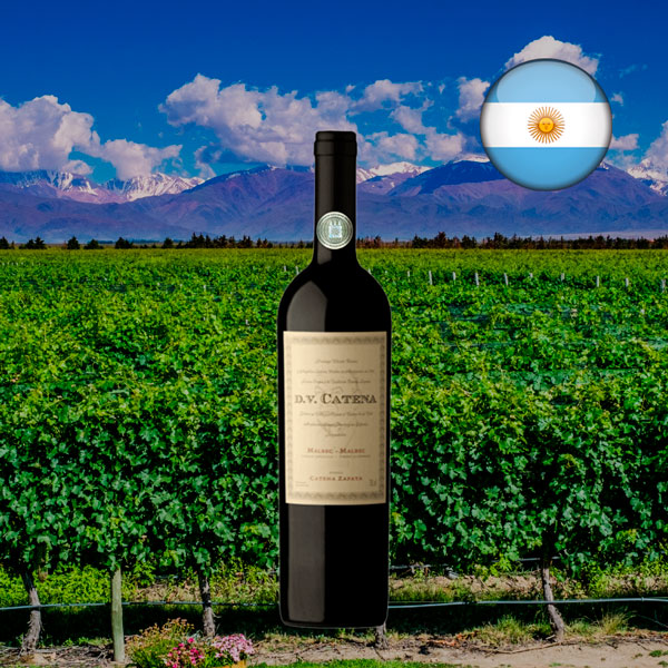 DV Catena Malbec-Malbec 2022 - Oferta