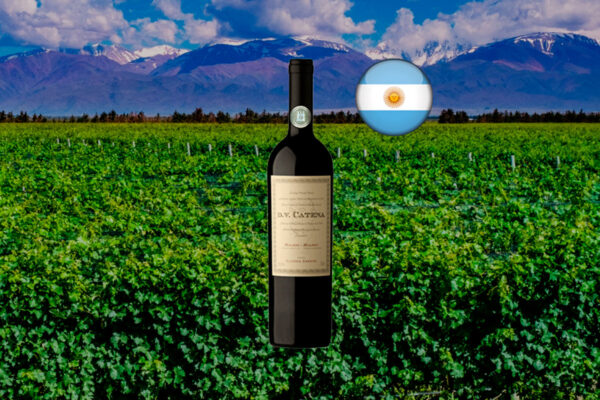 DV Catena Malbec-Malbec 2022 - Thumbnail