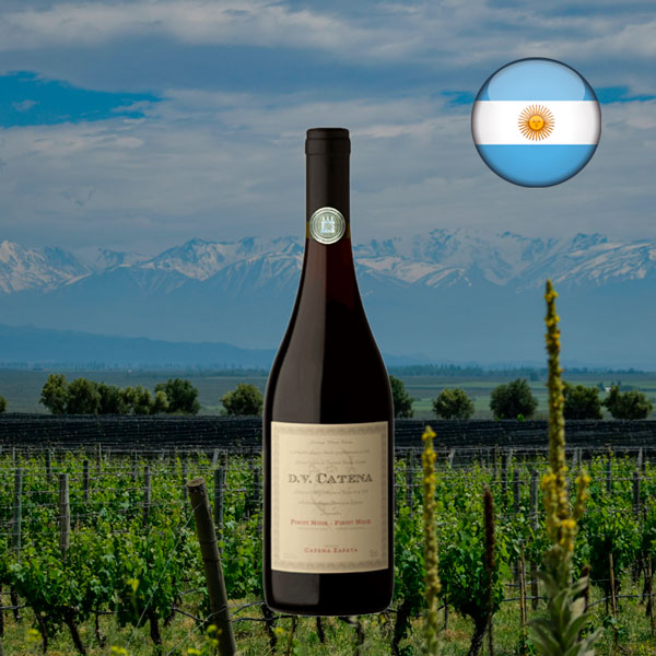 DV Catena Pinot Noir-Pinot Noir 2022 - Oferta