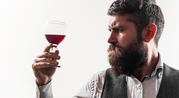 El Vinculo Crianza 2020 - Degustando